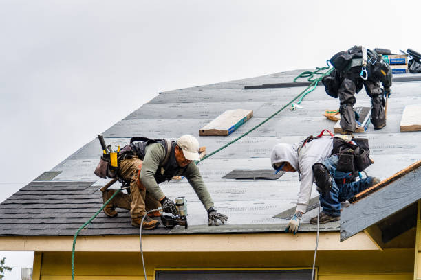Professional Flat Roof Repair technician working in Seguin, TX